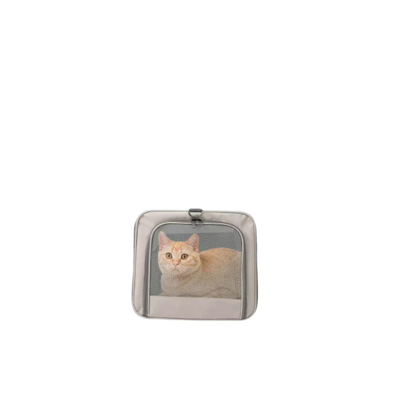 Cat Trolley Carrier for 2 Cats, Large Pet Transport Box with Wheels, Rolling Cat Carrier with Safety Belts, Foldable Travel Bag for Cats & Small Dogs, Airline-Friendly Design