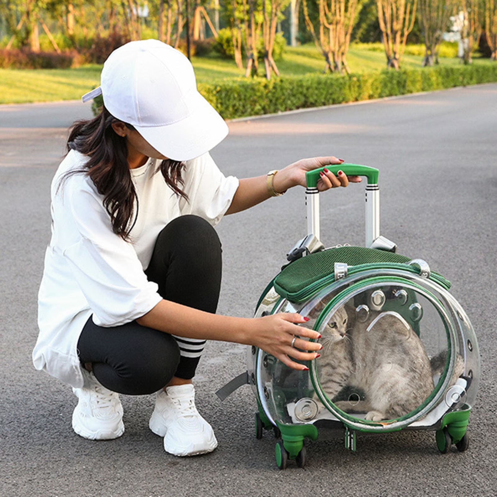 Pet Trolley Case Clear Ventilation Holes Silent Wheels Convenient Portable Cats Dogs Backpack for Travel