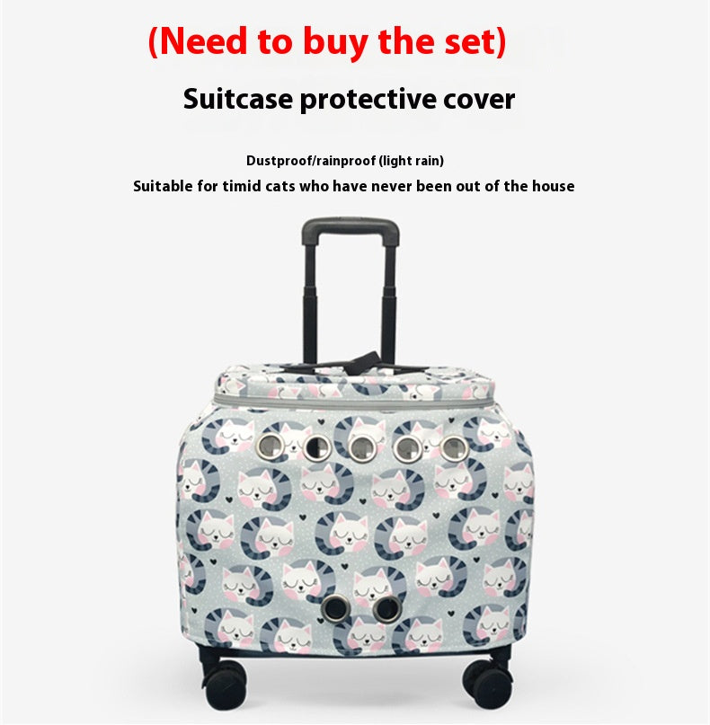 Luxury Cat Capsule Transparent Carry-On Luggage