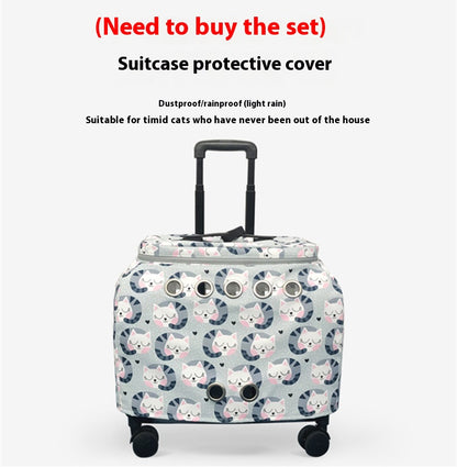 Luxury Cat Capsule Transparent Carry-On Luggage