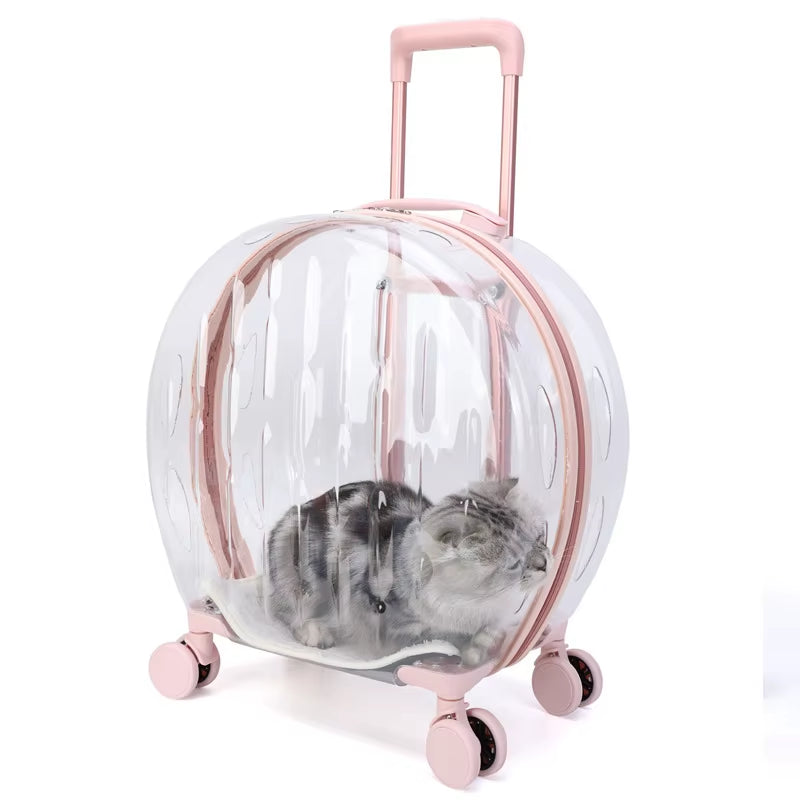 Pet Cat Dog Bag Trolley Box Transparent Breathable Portable Carriers Travel Bags Handheld Aircase for Dogs Cats Outgoing