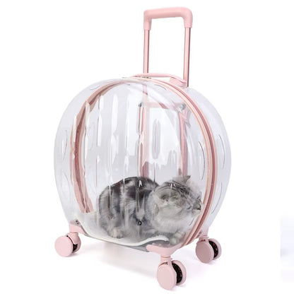 Pet Cat Dog Bag Trolley Box Transparent Breathable Portable Carriers Travel Bags Handheld Aircase for Dogs Cats Outgoing