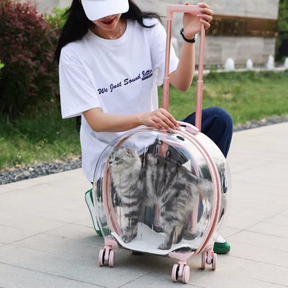 Pet Cat Dog Bag Trolley Box Transparent Breathable Portable Carriers Travel Bags Handheld Aircase for Dogs Cats Outgoing