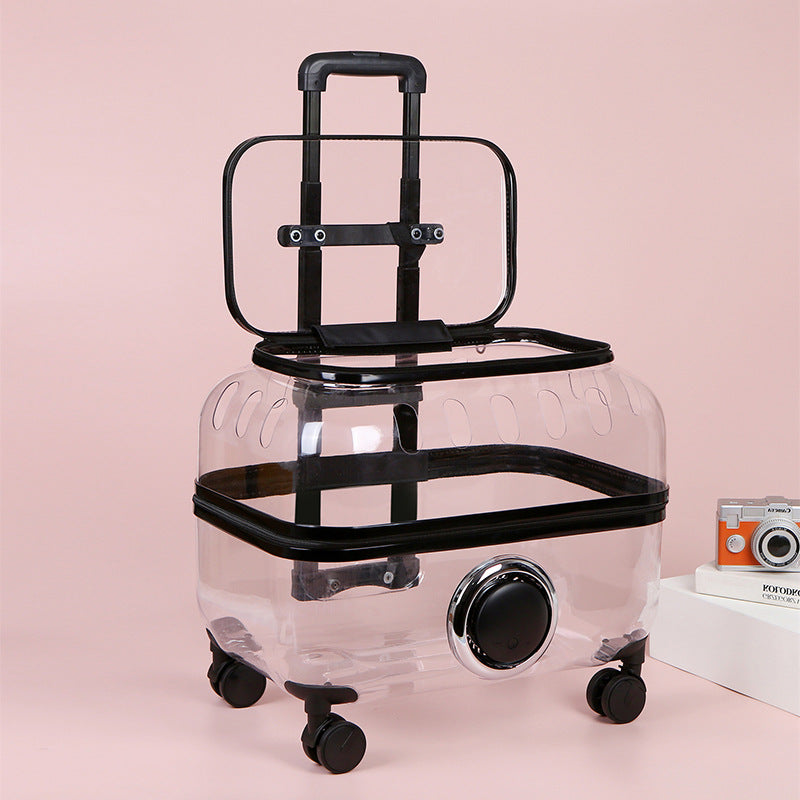 Luxury Cat Capsule Transparent Carry-On Luggage
