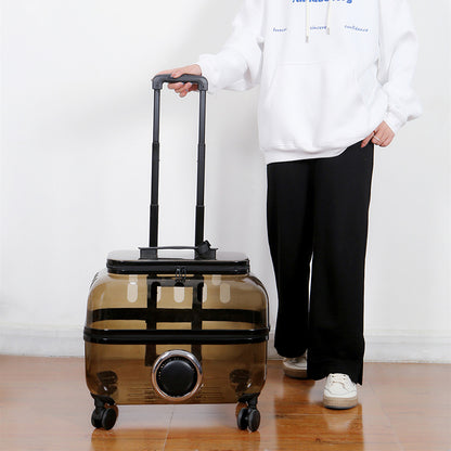 Luxury Cat Capsule Transparent Carry-On Luggage