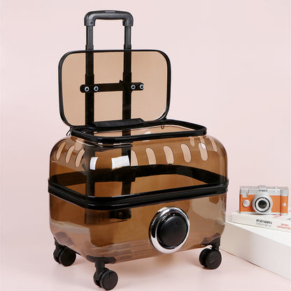 Luxury Cat Capsule Transparent Carry-On Luggage