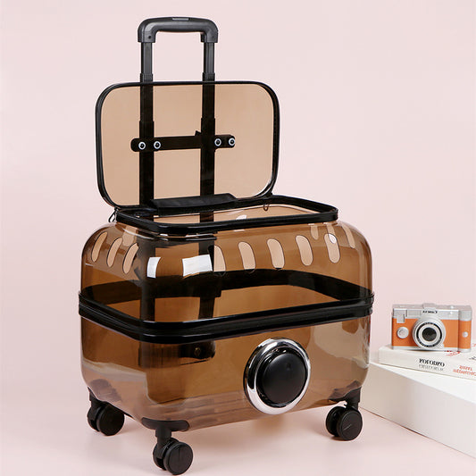 Luxury Cat Capsule Transparent Carry-On Luggage